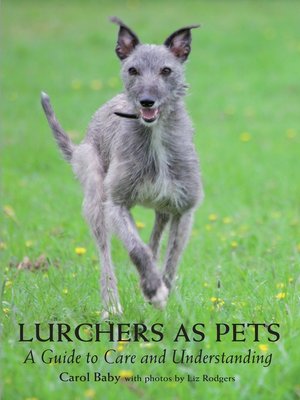 cover image of Lurchers as Pets
